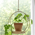 Golden Thread Plant Hanger