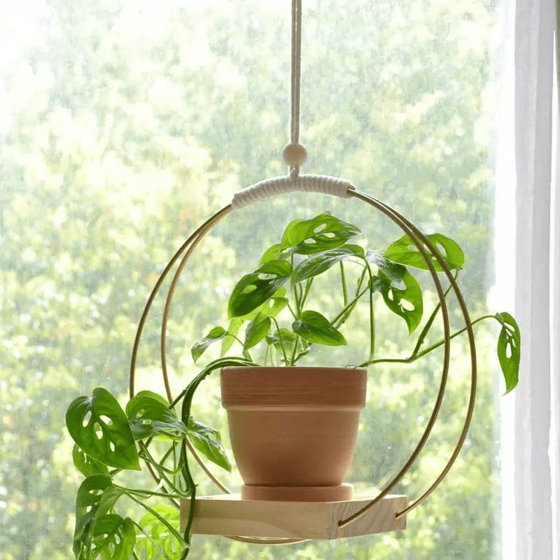 Golden Thread Plant Hanger