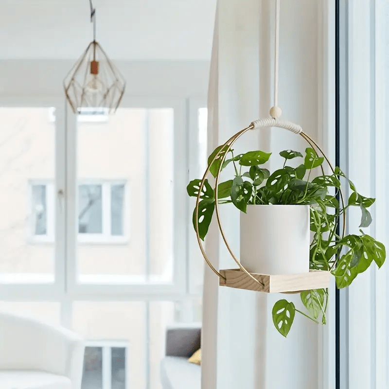 Golden Thread Plant Hanger