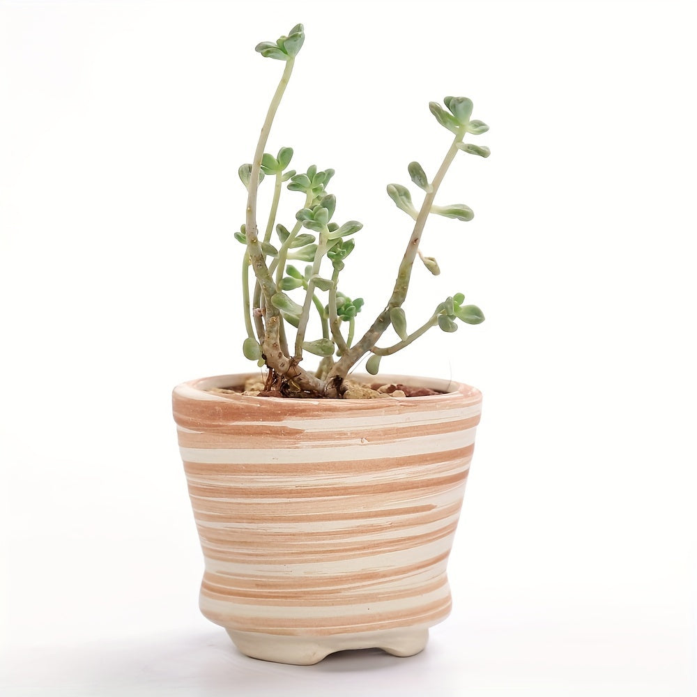 Sunset mini planters