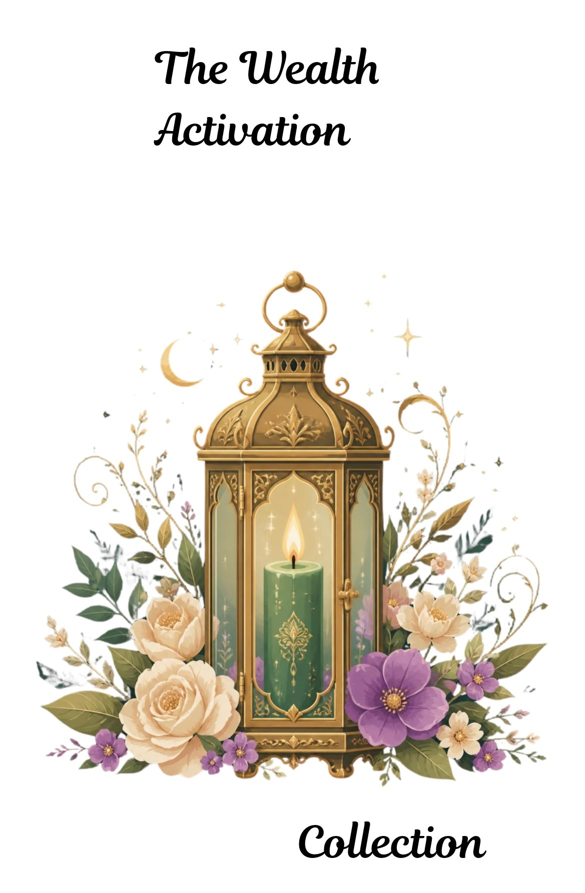 The Wealth Activation Collection
