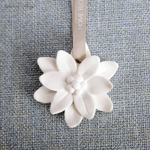 Ceramic Aromatherapy Air Freshener