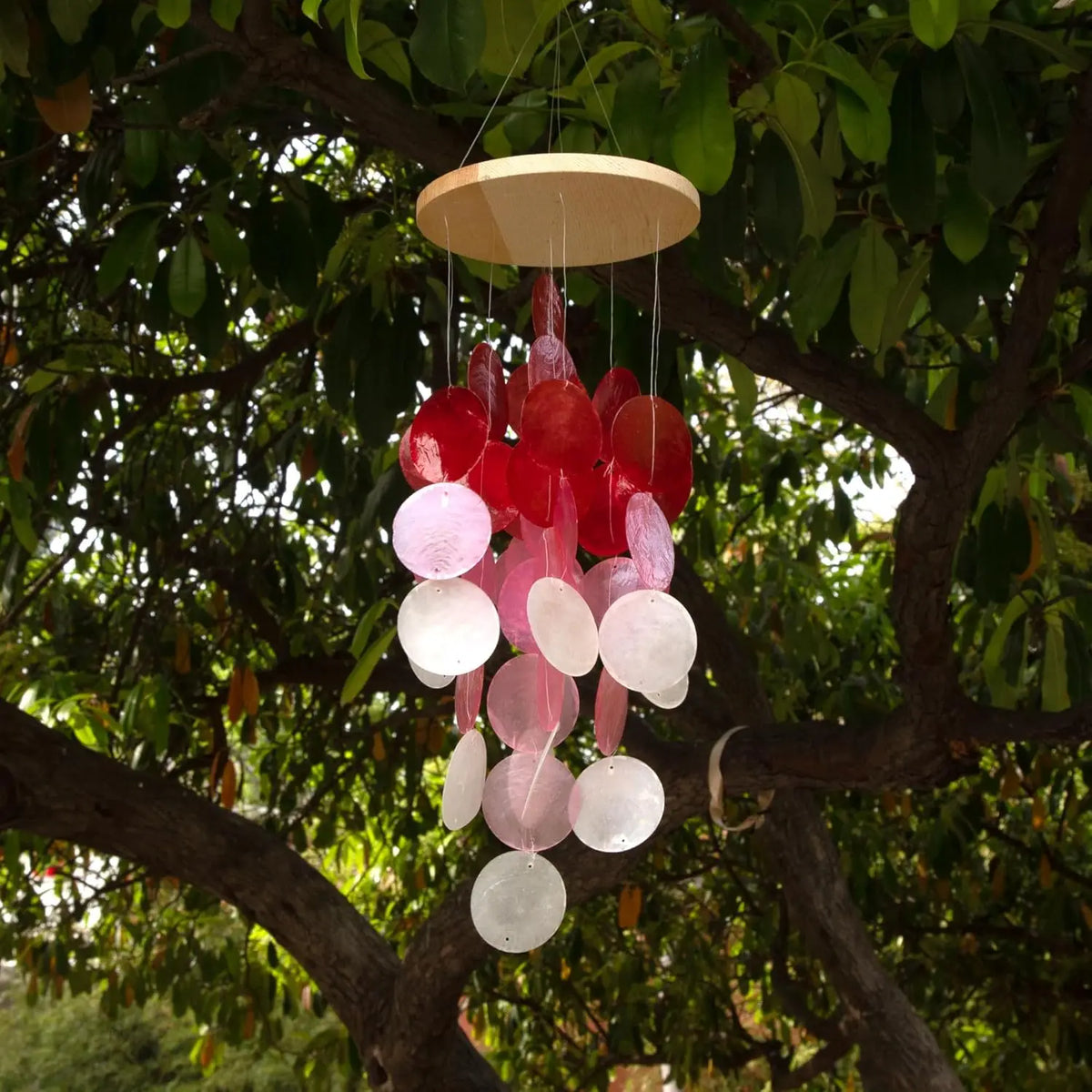Capiz Shells Windchime