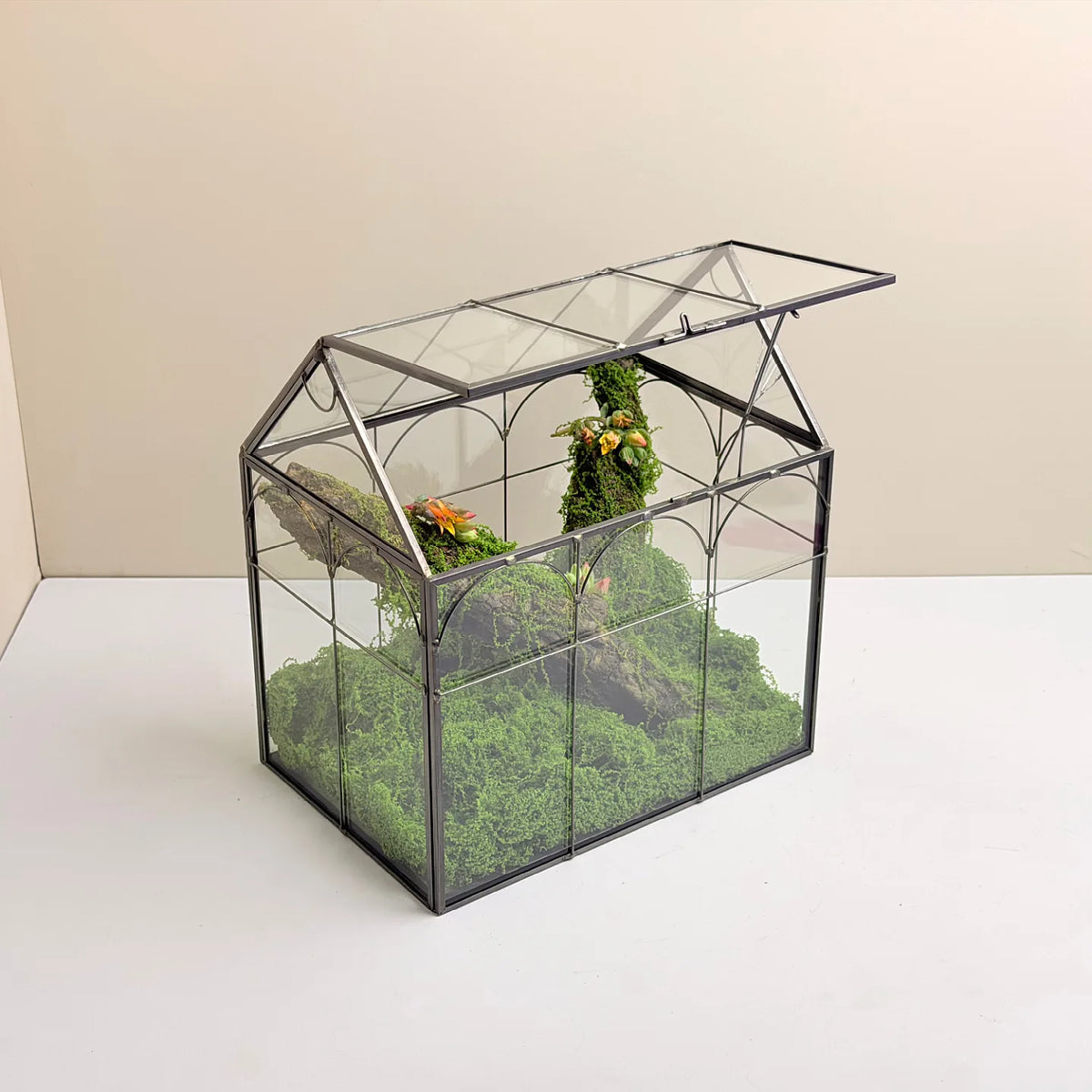 Geometric Glass Terrarium