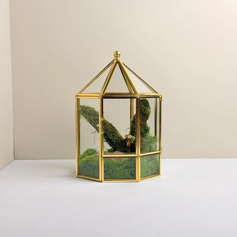 Geometric Glass Terrarium
