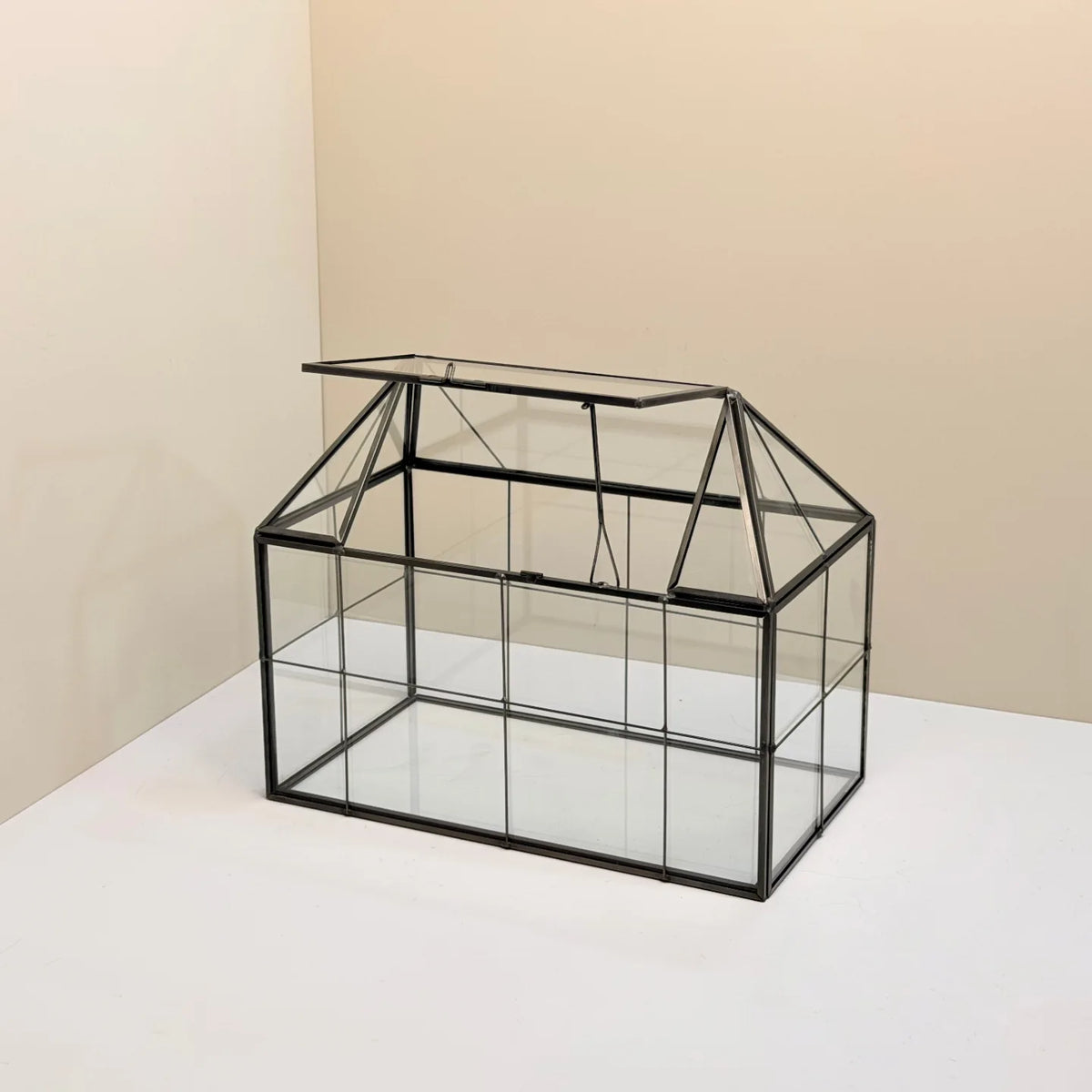 Geometric Glass Terrarium