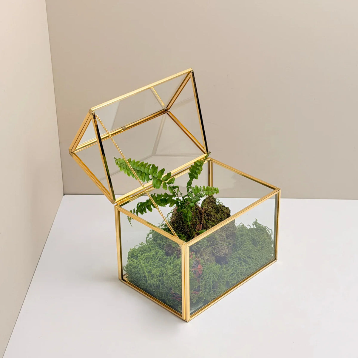Geometric Glass Terrarium