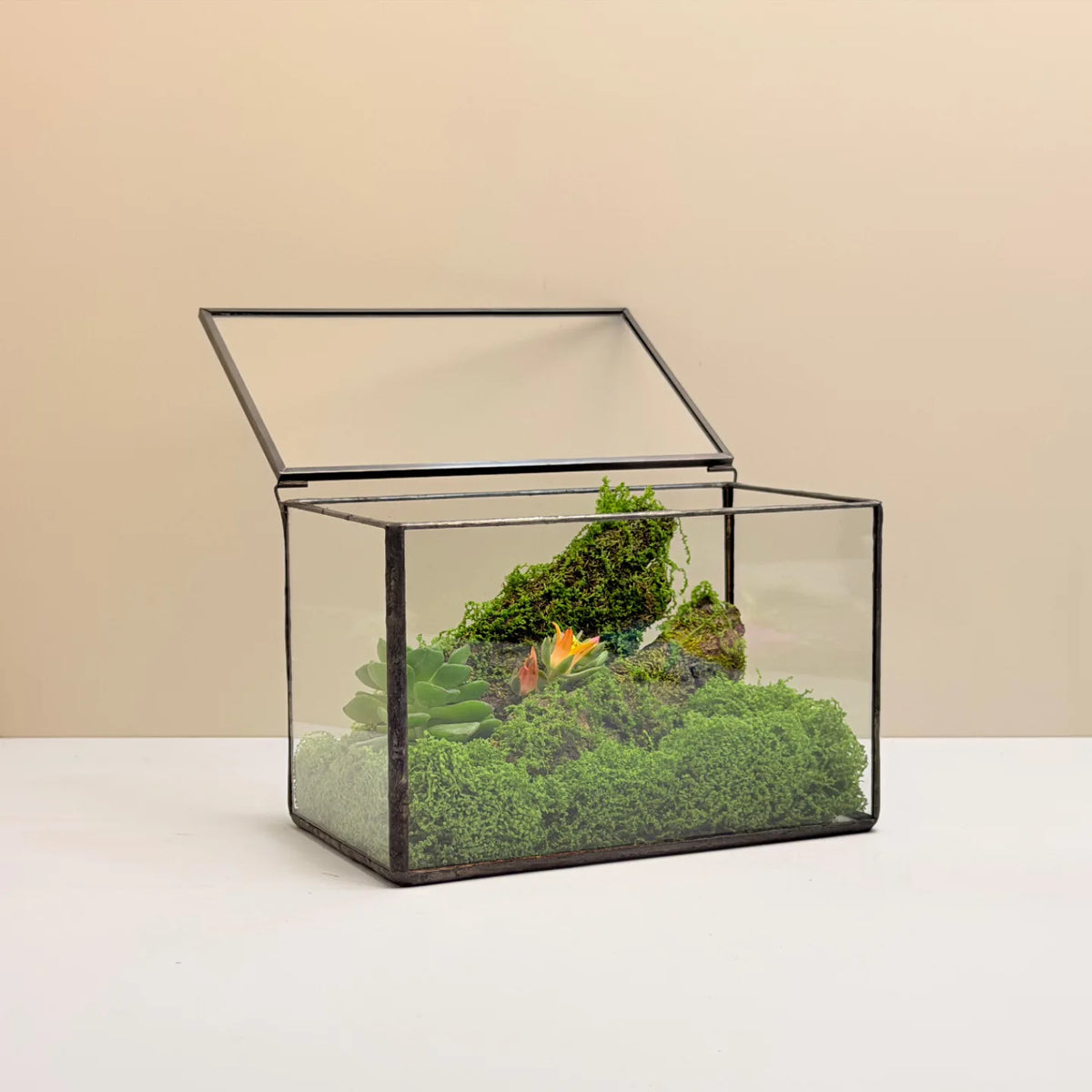Geometric Glass Terrarium