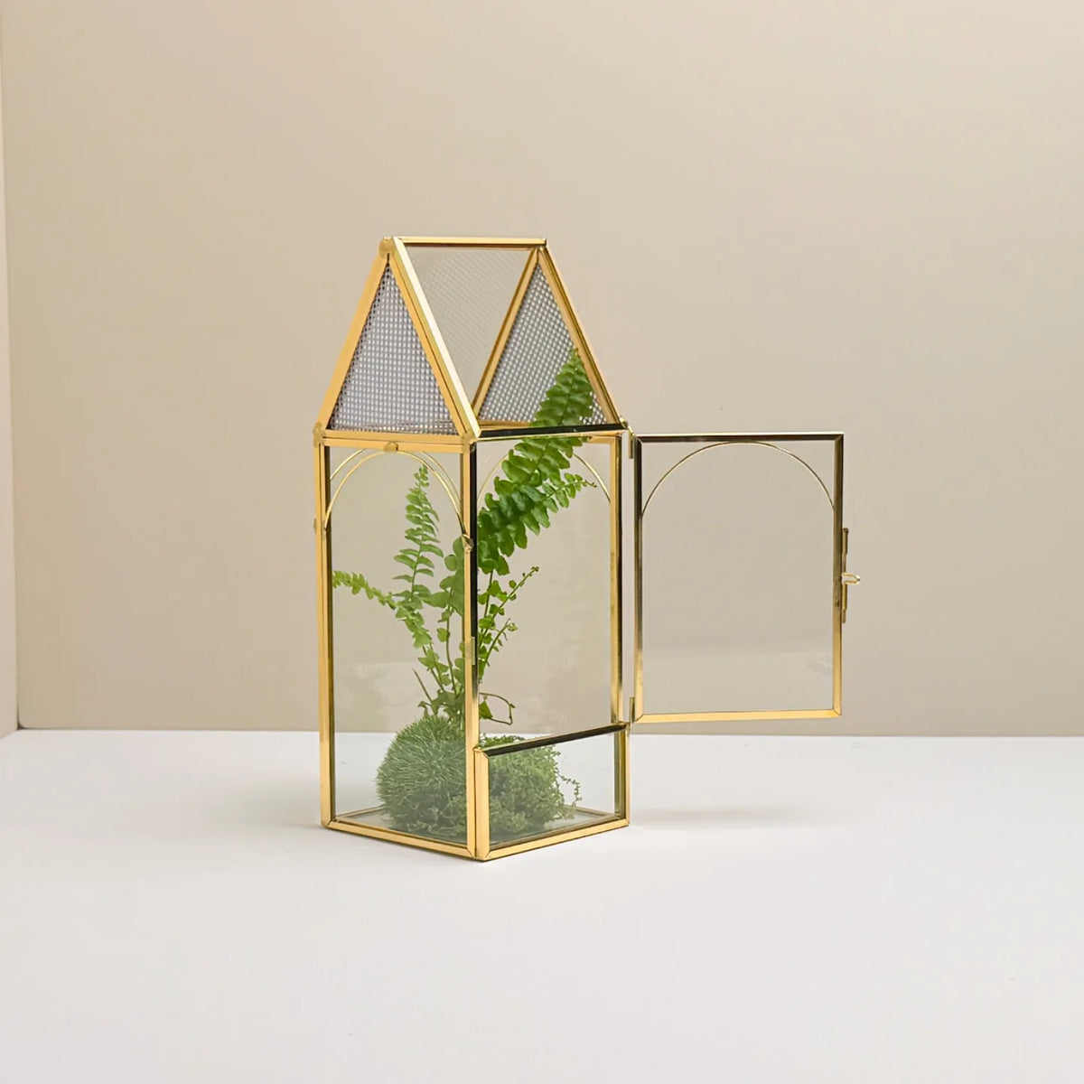 Geometric Glass Terrarium