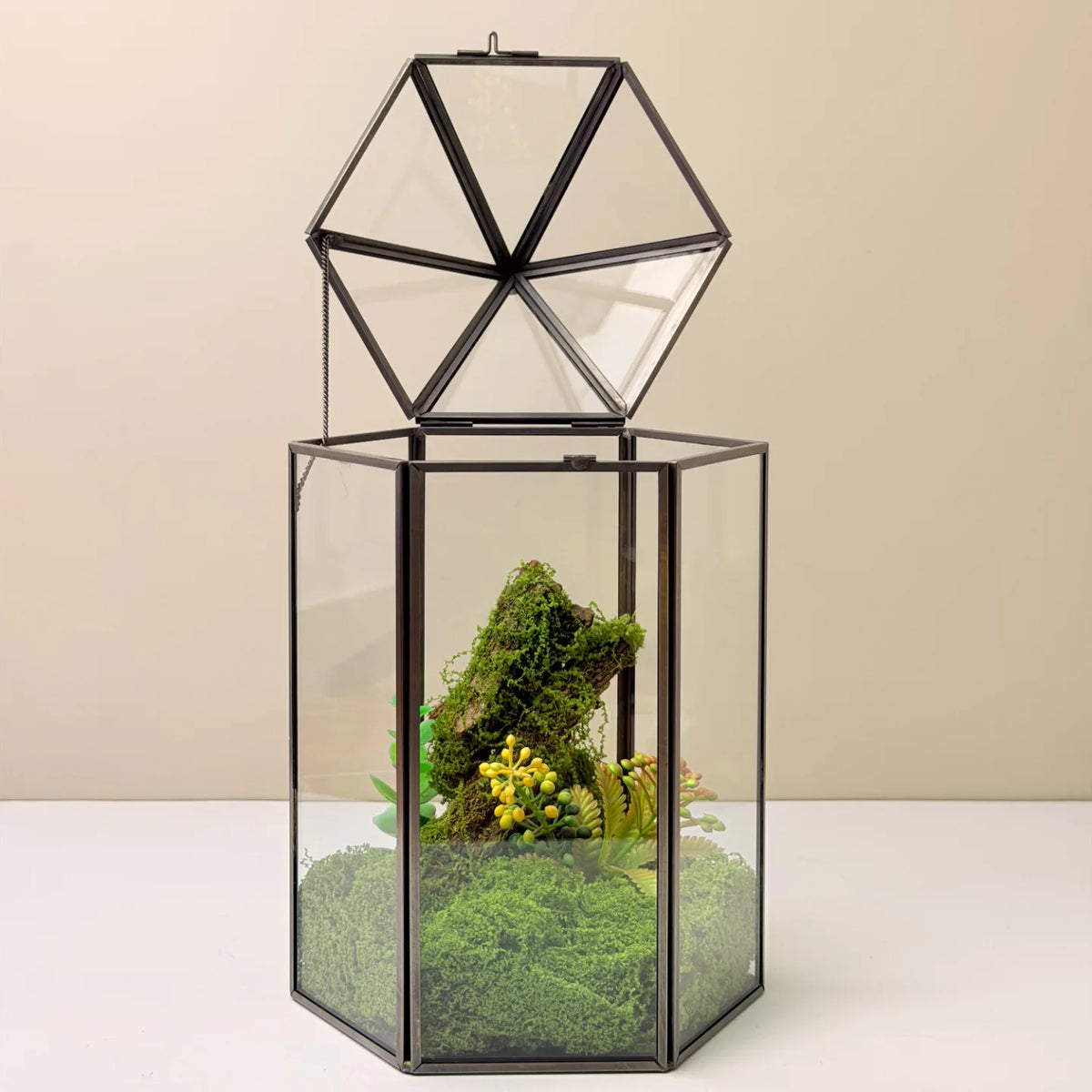 Geometric Glass Terrarium