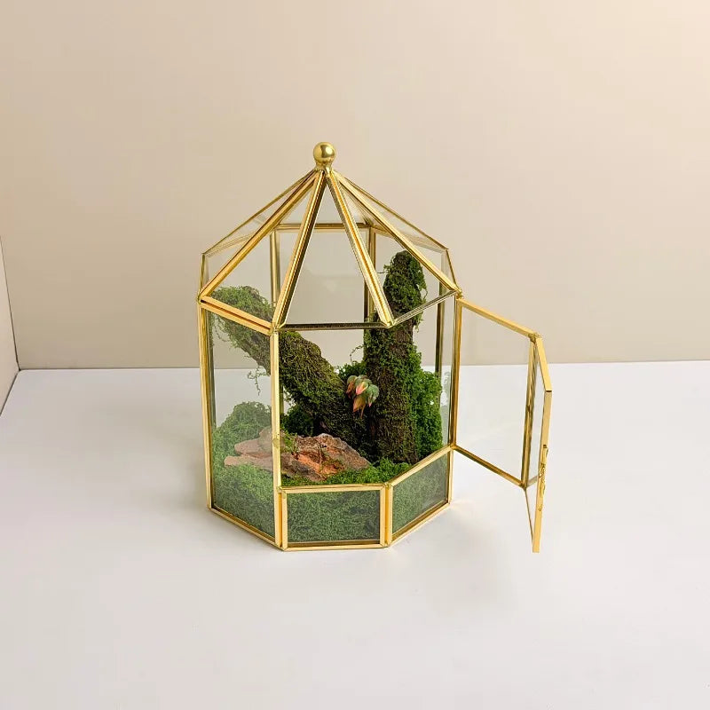 Geometric Glass Terrarium