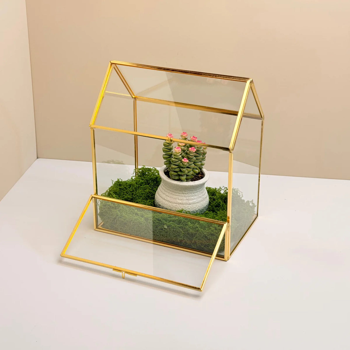 Geometric Glass Terrarium