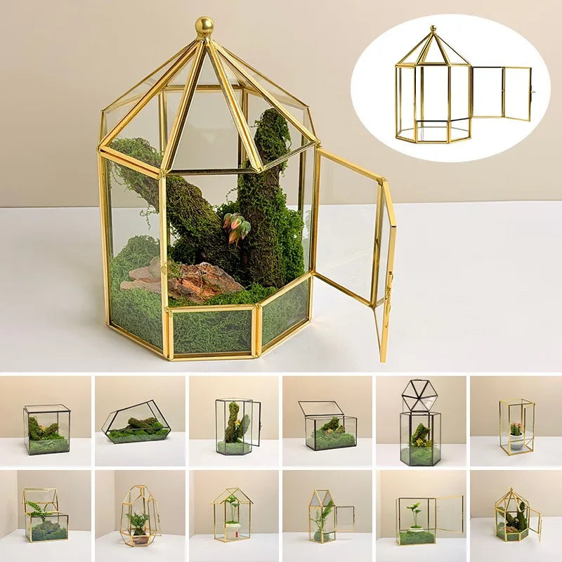 Geometric Glass Terrarium