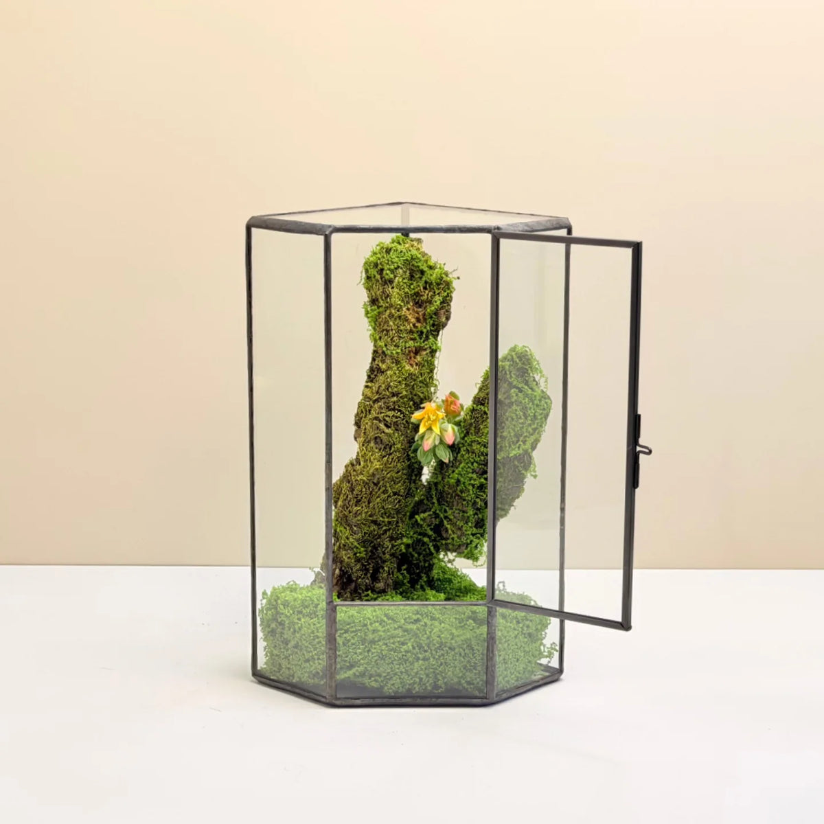 Geometric Glass Terrarium