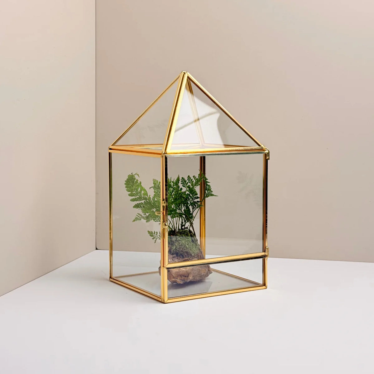 Geometric Glass Terrarium
