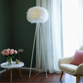 Fantasy Feather Lamp