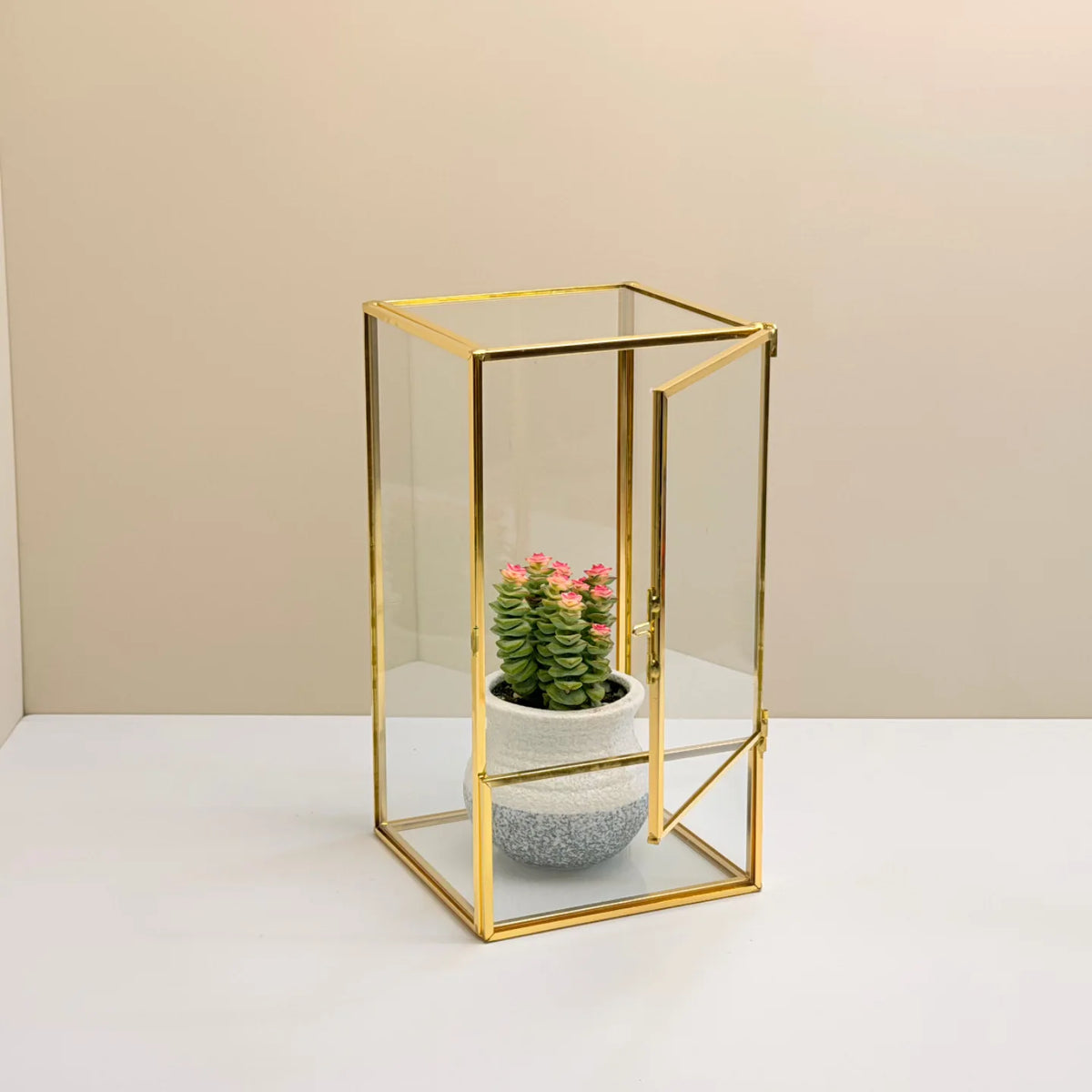 Geometric Glass Terrarium