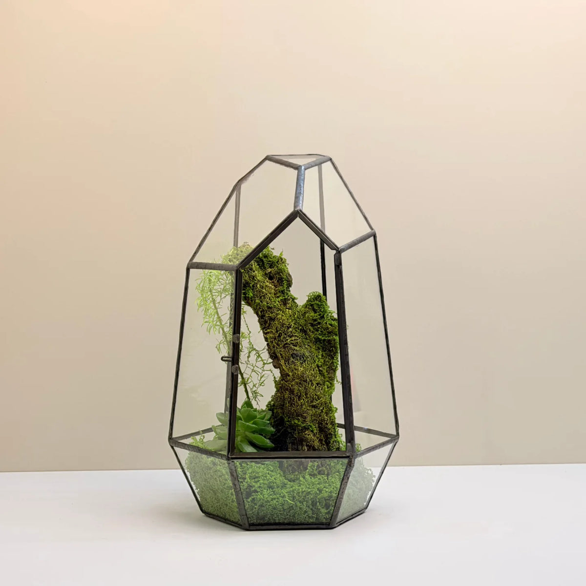 Geometric Glass Terrarium