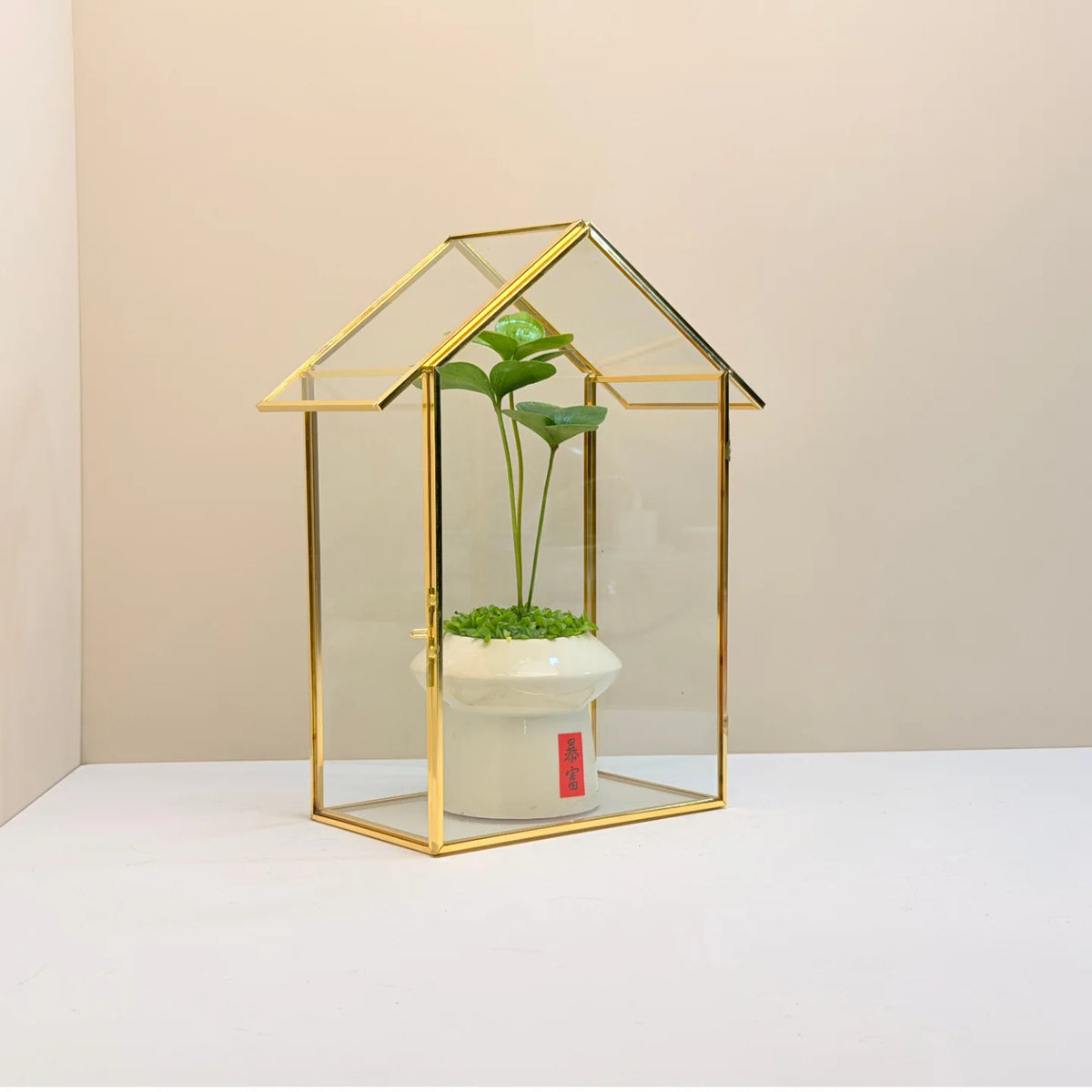 Geometric Glass Terrarium