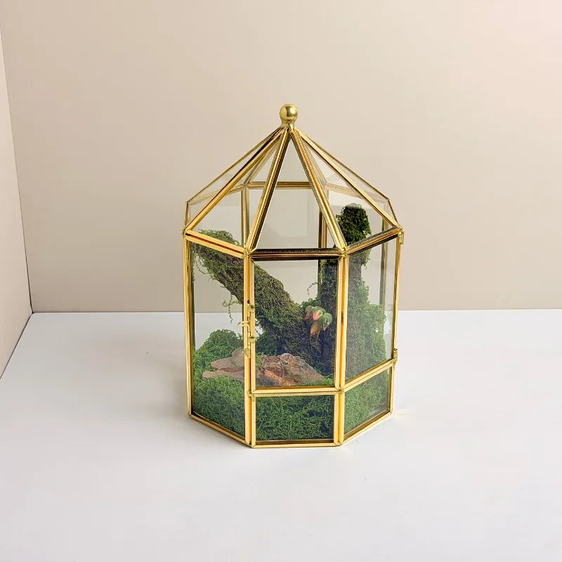 Geometric Glass Terrarium
